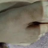 Salvajiiiya